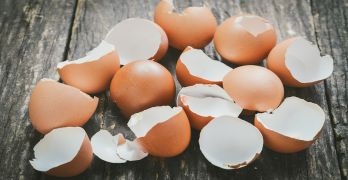 Fotolia 108217573 Subscription Monthly M 1