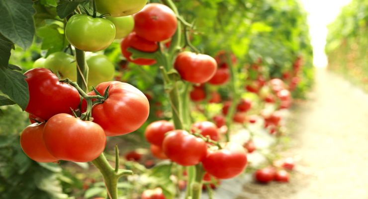 Fotolia 118789228 Subscription Monthly M