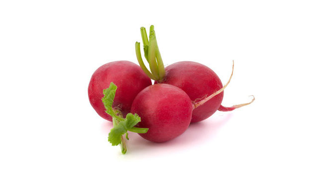 radish