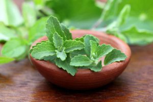 stevia